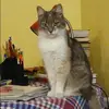 Отзыв от Елена Никонова